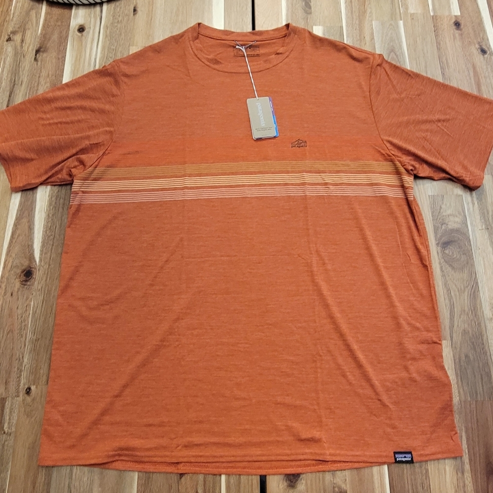 Mens Patagonia Capilene Cool Daily Graphic Shirt